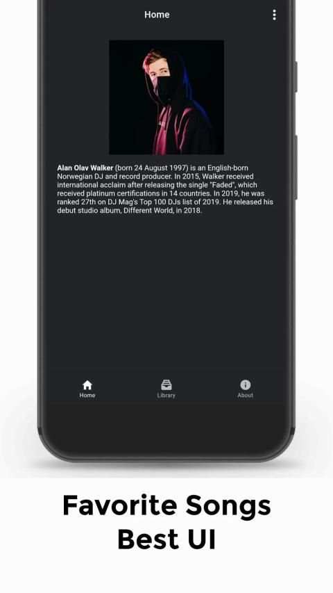 Alan Walker Lengkap Offline screenshot 3