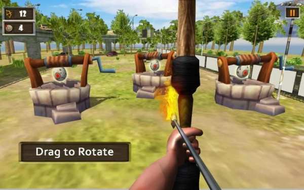 Crazy Chicken Shooting Game : Archery Killing screenshot 5