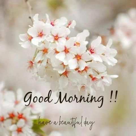 Good Morning Images APP - GOOD Morning Flowers स्क्रीनशॉट 3