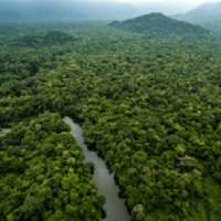 Amazon Rainforest The Best on 9Apps