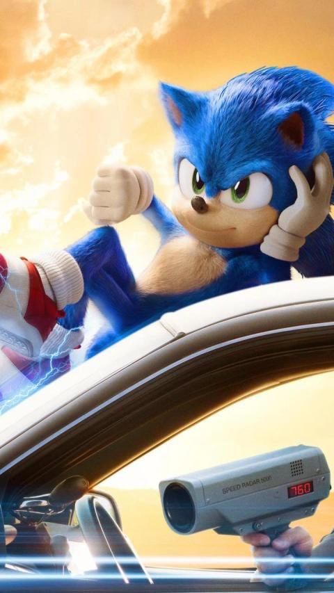 एचडी हेजहॉग वॉलपेपर 2020 स्क्रीनशॉट 5