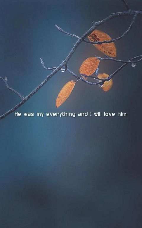 Heart Broken Images - Sad Love Quotes screenshot 7