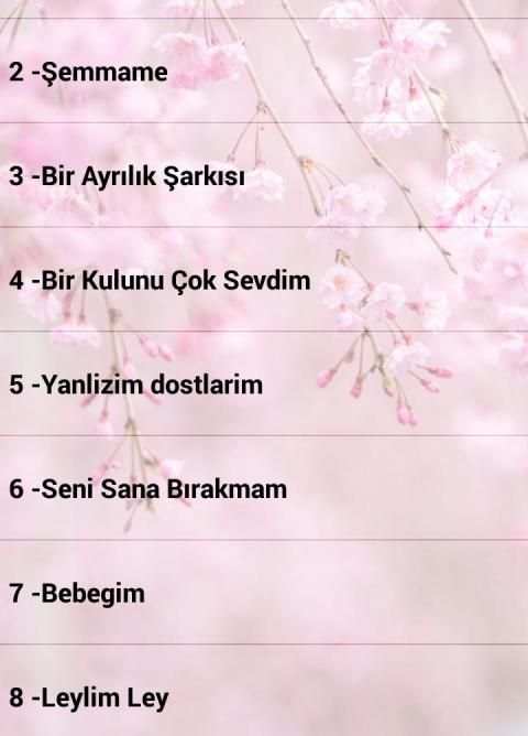 İbrahim Tatlıses Şarkıları İnternetsiz 60 Şarkı screenshot 4