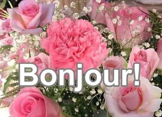 BONJOUR! screenshot 1