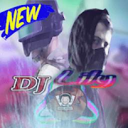 Dj Lily On My Way 1.6