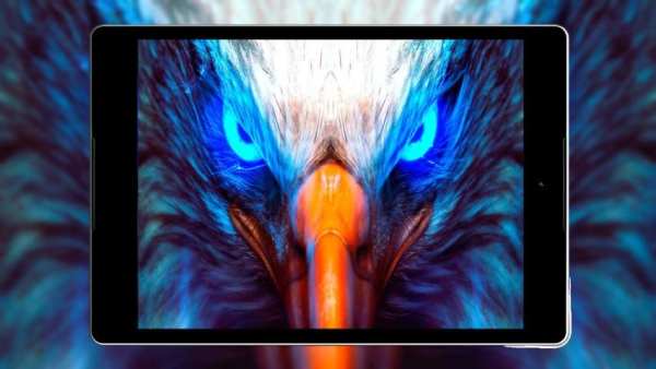 Panduan Eagle Wallpaper Hd screenshot 1