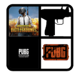 ikon BUPG weapons 2020