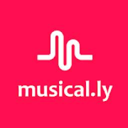 Free Musically - Make Your Day Tips