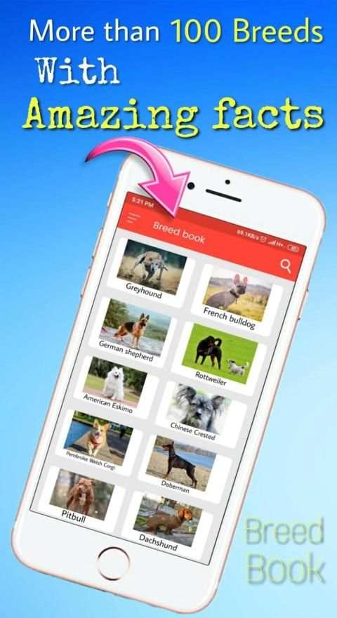 Dog and owner : Breed info , News , Diet , fact स्क्रीनशॉट 4