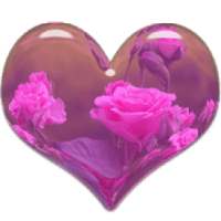 Te amo, eres el amor de mi vida