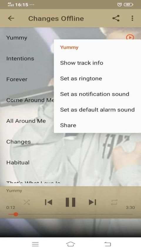 Justin Bieber Offline Songs screenshot 3