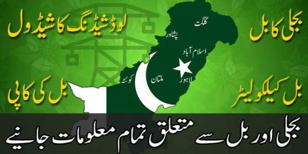 Online Electricity Bill Checker for Wapda Pakistan screenshot 1