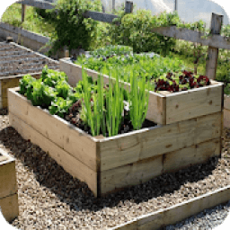 ikon Vegetable Garden Ideas