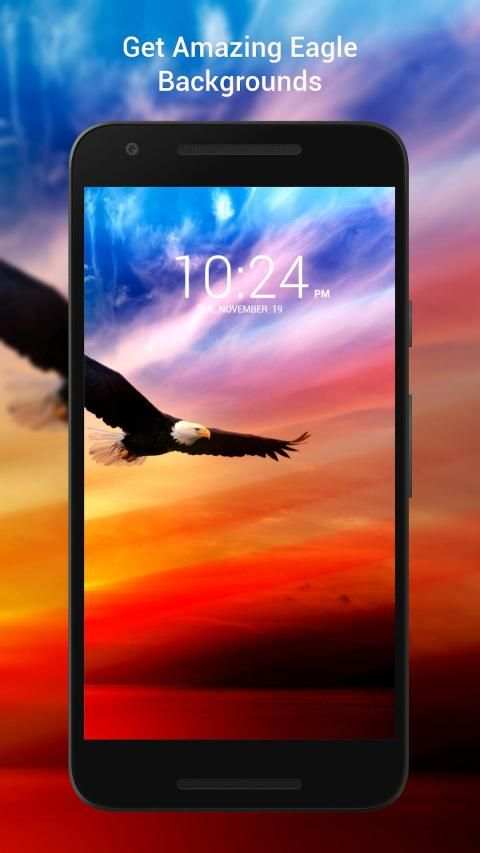 Panduan Eagle Wallpaper Hd screenshot 17