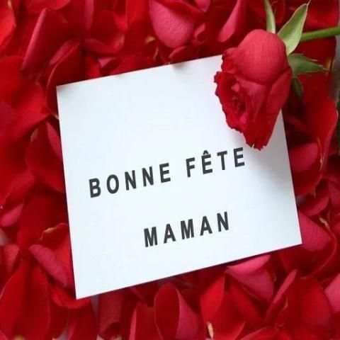 Bonne Fête des Mères screenshot 6