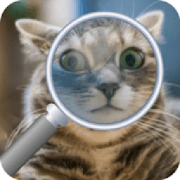 Найди Кота icon