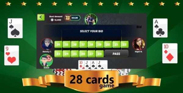 28 Cards Game स्क्रीनशॉट 6