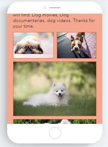 Dogs screenshot 6
