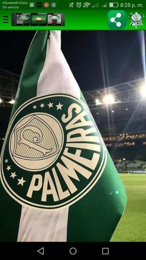 Palmeiras Wallpapers screenshot 1