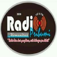 Radio PRIBUMI 107.8 FM on 9Apps
