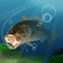 ikon Final Bass Fishing(FBF)