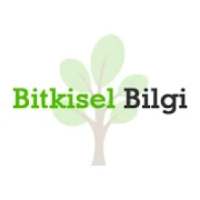 Bitkisel Bilgiler - Şifalı Bitkiler ve Çaylar