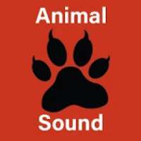 Learn Animal Sounds Kids Game