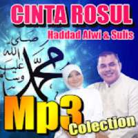 Cinta Rosul Haddad Alwi Sulis Mp3 Offline on 9Apps