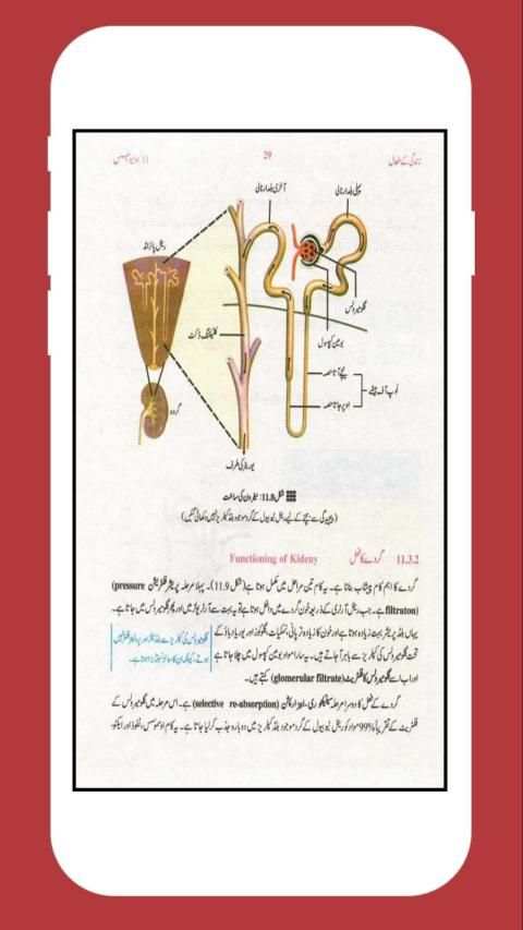Biology 10 Urdu Medium (Offline) स्क्रीनशॉट 4