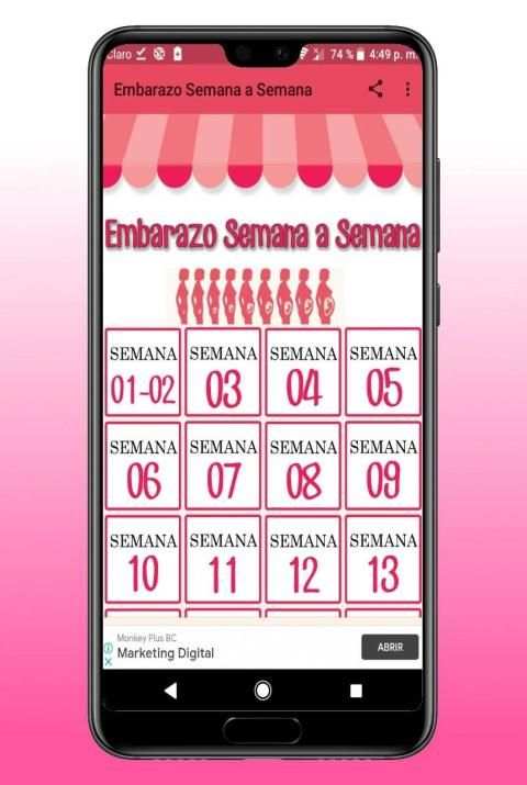 Embarazo Semana a Semana स्क्रीनशॉट 8