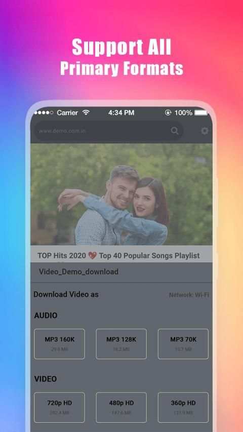 Video downloader screenshot 2