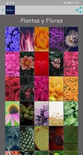 Wallppaper screenshot 3