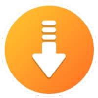 Video Downloader With Browser