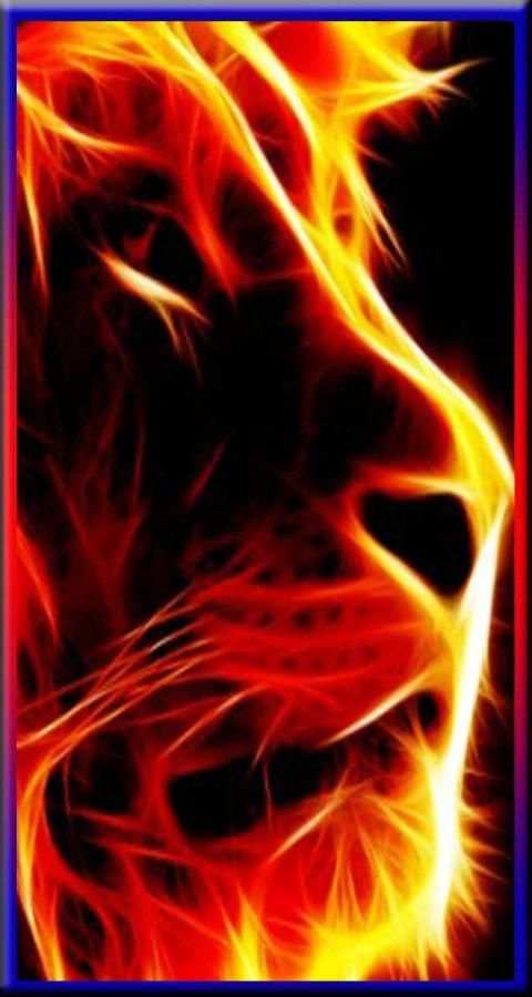 Fire Wallpaper Free HD screenshot 3