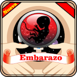 Embarazo - Semana por Semana icon