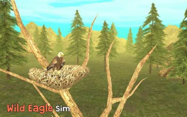 Wild Eagle Sim 3D स्क्रीनशॉट 9