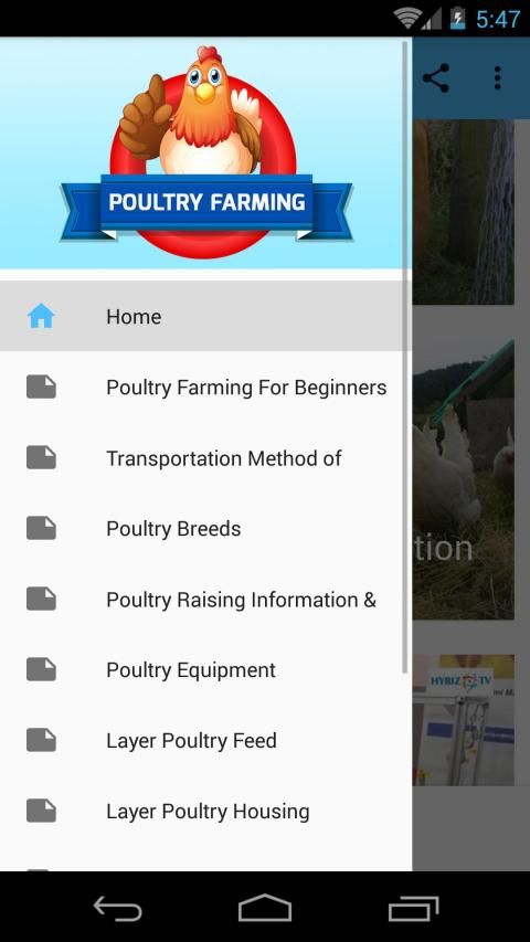 Poultry Farming स्क्रीनशॉट 2