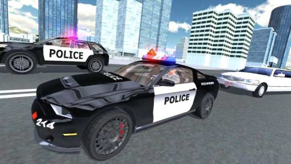 Police Simulator - Swat Border Patrol screenshot 3