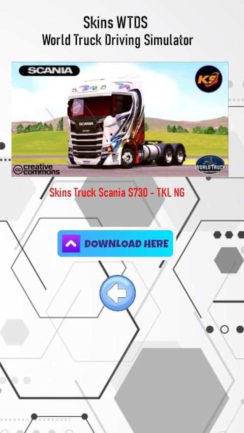 Skins WTDS - World Truck Driving Simulator screenshot 3