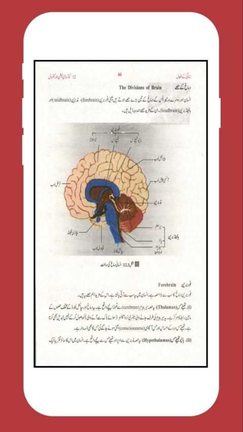 Biology 10 Urdu Medium (Offline) स्क्रीनशॉट 3