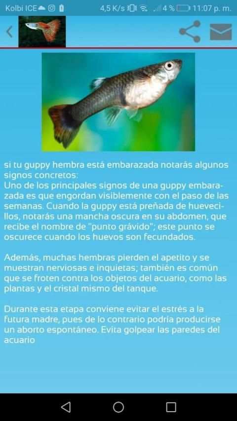 cria guppy स्क्रीनशॉट 1