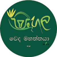 සිංහල වෙද මහත්තයා - Sinhala Weda Mahaththaya