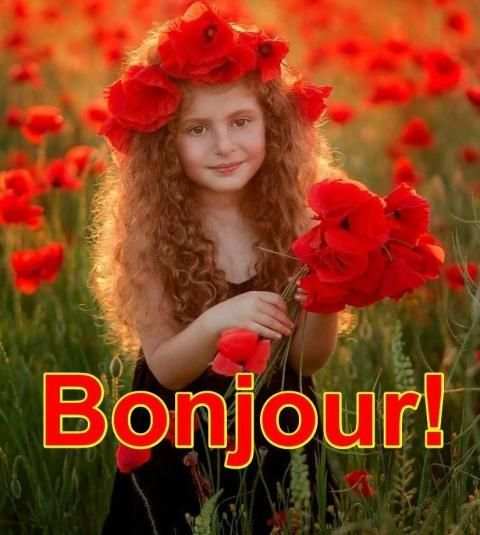 BONJOUR! screenshot 6