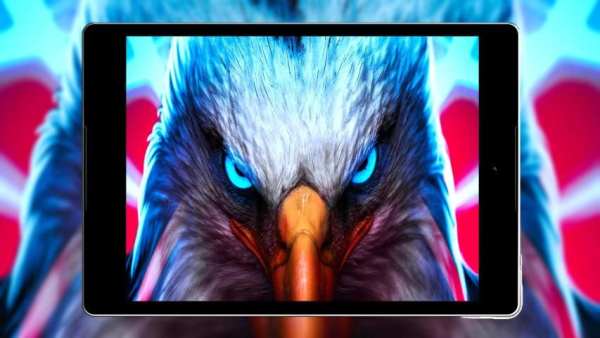 Panduan Eagle Wallpaper Hd screenshot 8
