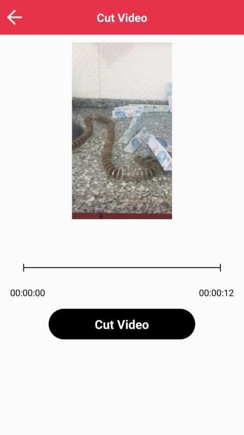 Vidolo - Video Cutter & Video Editing Tool screenshot 7