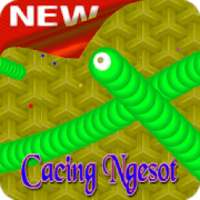 Game Snake Worm Zona Cacing Zone Offline