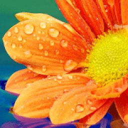 665 Words आइकन