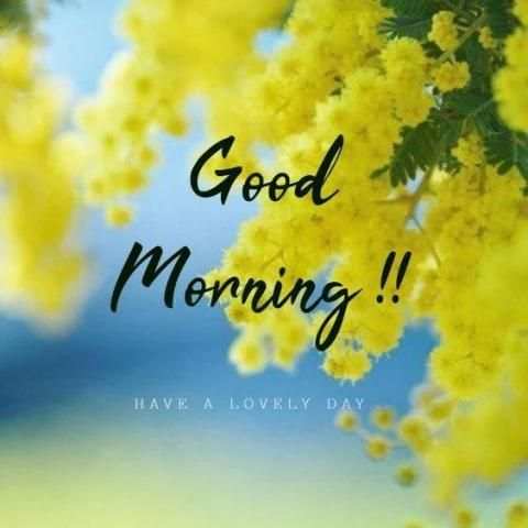 Good Morning Images APP - GOOD Morning Flowers स्क्रीनशॉट 1