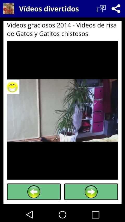 Videos Graciosos Diversion स्क्रीनशॉट 3