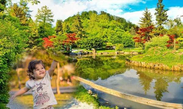 Beautiful Photo Frame Garden Photo Frame app screenshot 11